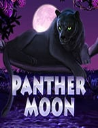 วิธีเล่น apex slot games แบบสนุกๆ และได้เงินง่าย